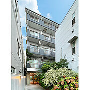 シャトーコバヤシ 3階 築38年6ヶ月の賃貸物件