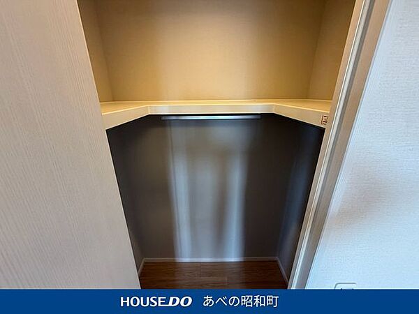 6.6帖の洋室にはウォークインクローゼットも完備されています。たっぷり収納可能です！
