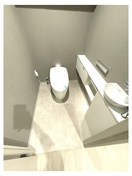 専用の手洗いカウンターが付いたすっきり快適なトイレ空間です！大きな収納スペース棚も備わっており、トイレットペーパーや掃除用品を隠して収納できます♪いつでも清潔で綺麗な状態を気持ちよく保てます！