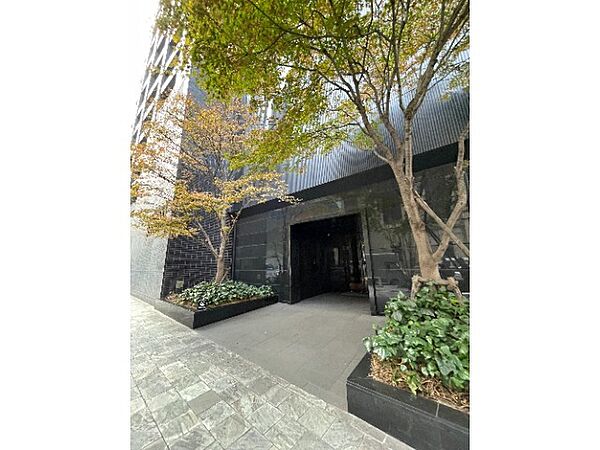 シックな石調の壁面と緑豊かな植栽が調和したエントランスアプローチです！広々としたフラットなアプローチのため、両手に大きな買い物袋を持って帰宅する際やキャリーケースの移動もスムーズに行えます♪