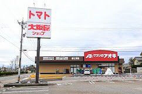 クスリのアオキ新七塚店 590m