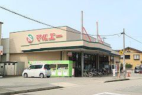 マルエー泉野店 310m