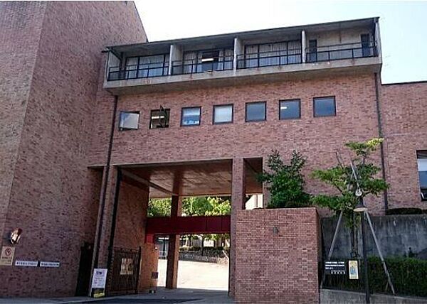 神戸松蔭大学 290m