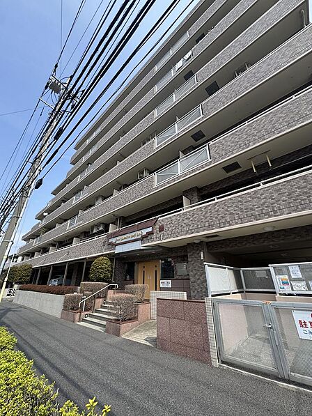 空を広く仰ぐ、ゆとりある配棟。家族に優しいフラットなアプローチ。