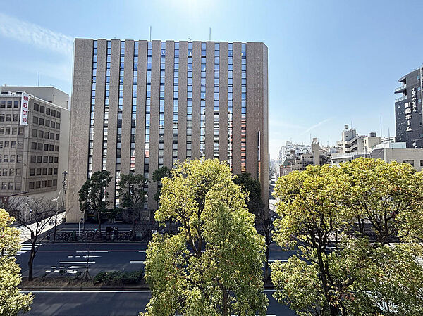 道路を挟んでしっかり抜ける。圧迫感ゼロ、心地よい光が差し込む理想的な街並みビュー。