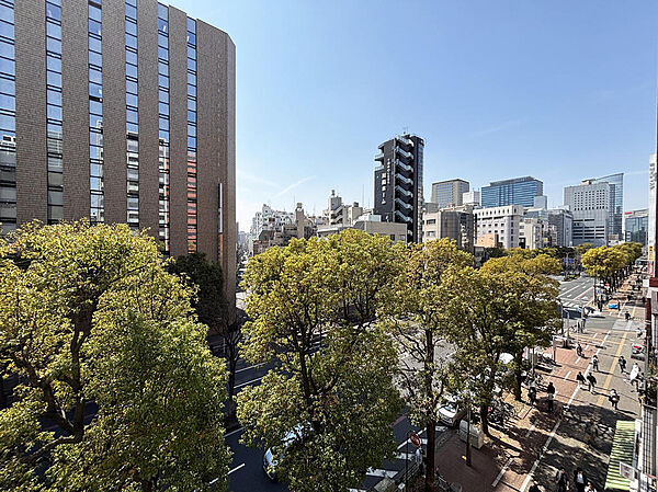 この街を、私の日常にする。美しい並木と洗練された都市が交差する、特等席のアドレス。