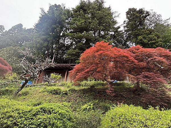敷地面積809坪（2675.15m2）の圧倒的なスケール感。プライベート感満載の住環境です。