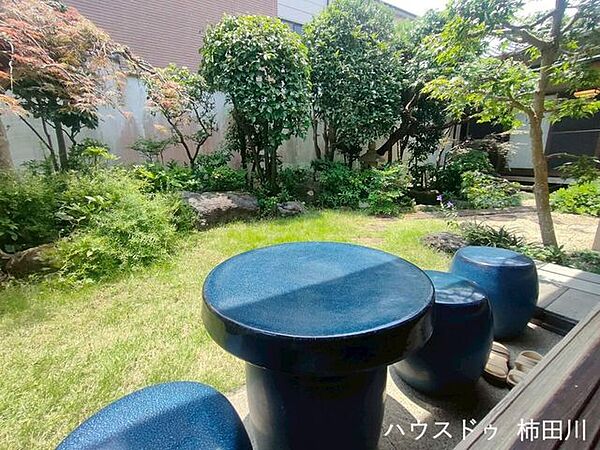 庭
