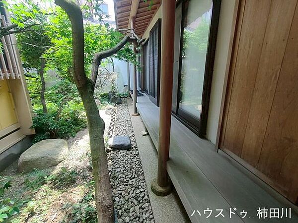 庭