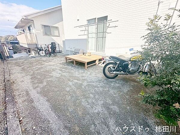 庭