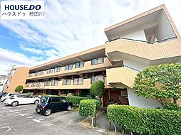 ヴァンヴェール遺伝坂2号棟