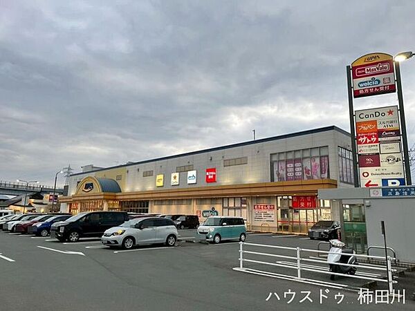 ルピア函南 2050m