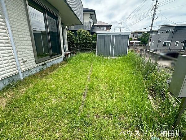 芝生が植えてあるお庭です。