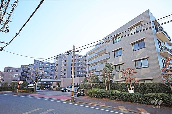 外観：313004570671