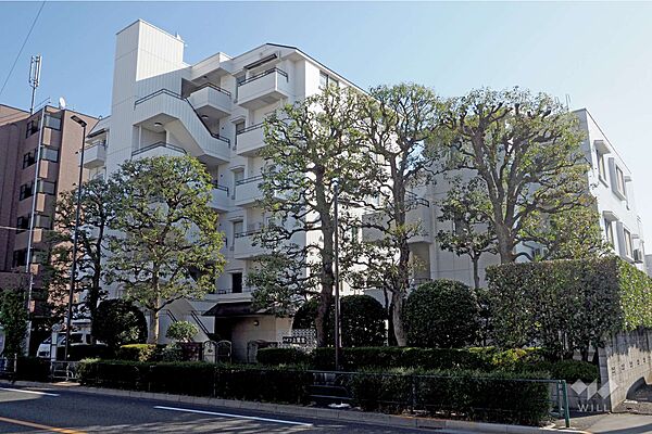 ハイツ上鷺宮の外観（北西側から）