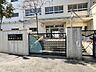 周辺：西新宿小学校[公立]の外観