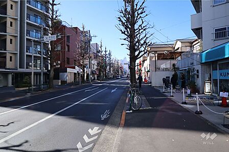 敷地南東側の前面道路（北東側から）