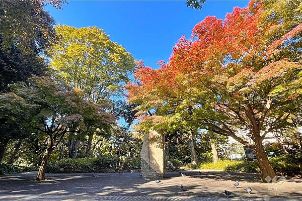 紅葉山公園の外観
