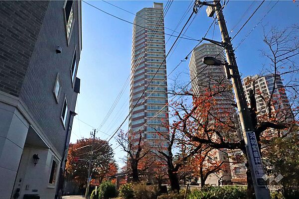 パークタワー東中野の外観（北東側から）