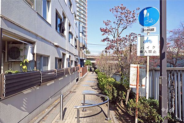 敷地東側の前面道路は神田川沿いです(南側から)。
