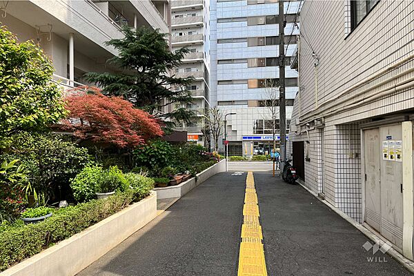 敷地の南側前面道路（西側から）