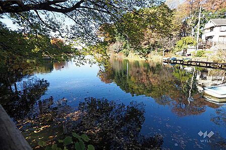 善福寺公園の外観