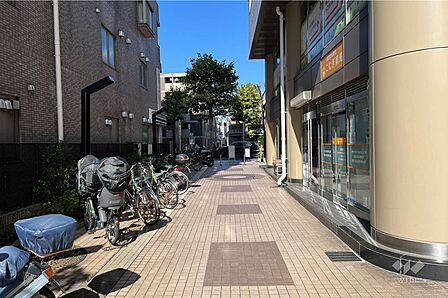 敷地西側の通路（南側から）