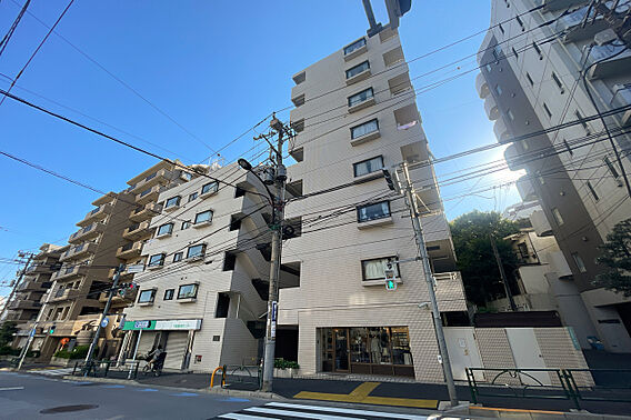 マートルコート...