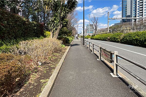 敷地の南東側前面道路（南西側から）