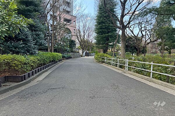 敷地の北側前面道路（東側から）