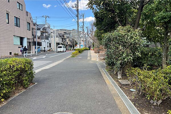 敷地の北西側前面道路（南西側から）
