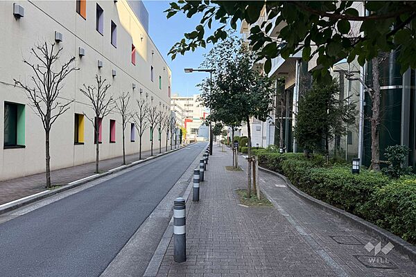 敷地の北側前面道路（西側から）