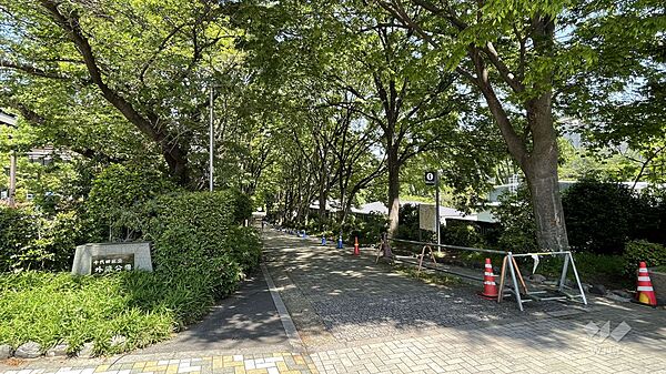 apartment 東京都新宿区原町３丁目84
地図を見る