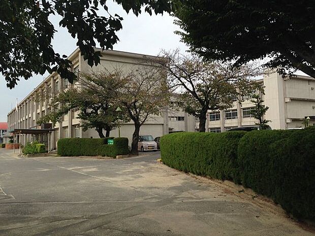 今伊勢小学校 650m