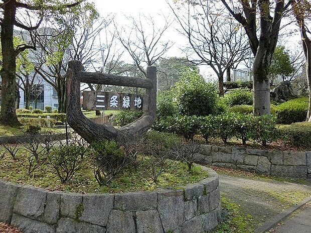 三条緑地 390m