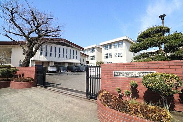 大沢中学校 800m
