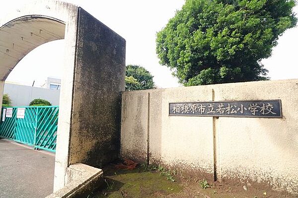 相模原市立若松小学校 770m