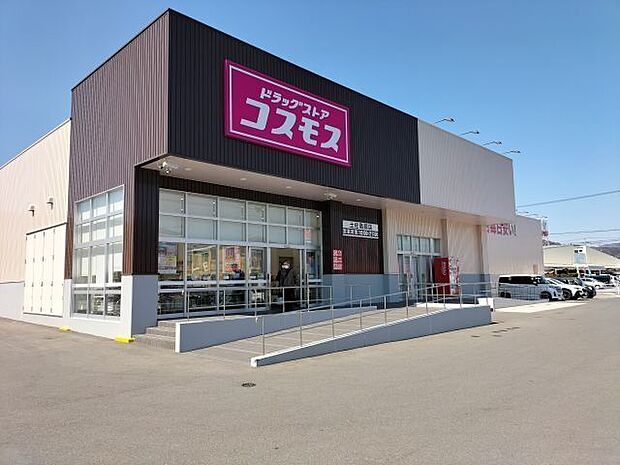 ドラッグストアコスモス 土佐高岡店 850m