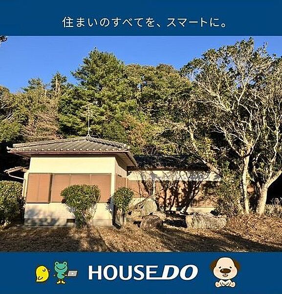 外観：339000050451