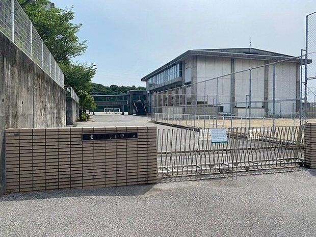 高知市立横浜中学校 2100m