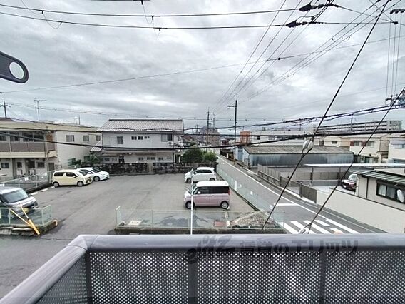 セントポーリアB_その他_2