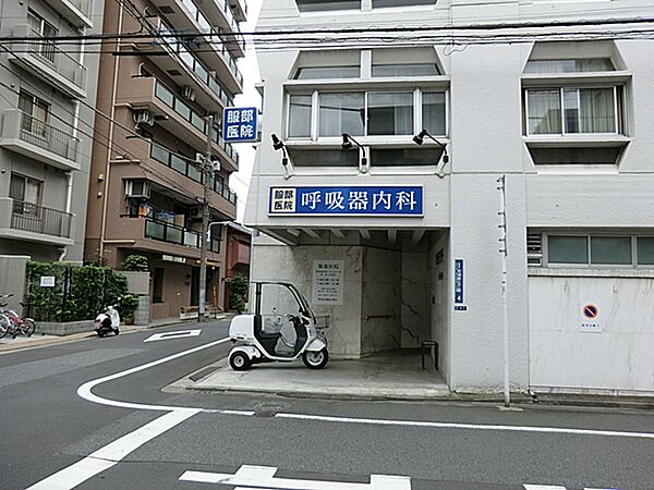 とても丁寧に診察や検査をして原因を追及してくださいます。先生も看護士さんも無駄な愛想がなく冷たい訳でもなく、プロの振る舞いで信頼できます。