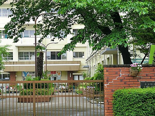 教員の方が評判いいです。