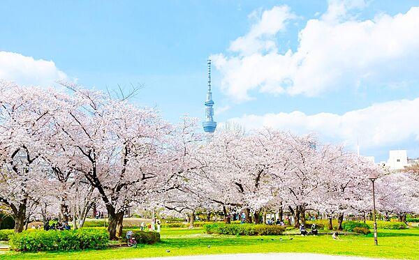 じゃぶじゃぶ池、テニスコートなどがある大型公園。