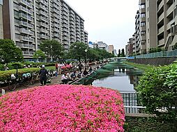 周辺施設の画像