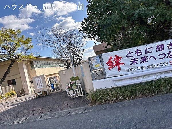 鹿児島市立紫原小学校 910m