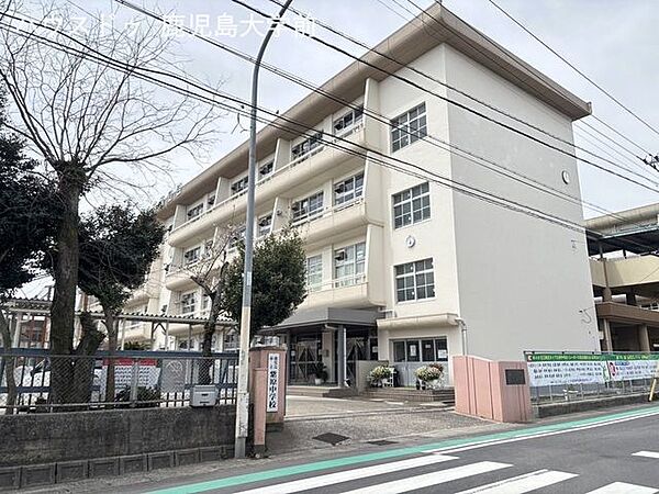 鹿児島市立紫原中学校 1920m