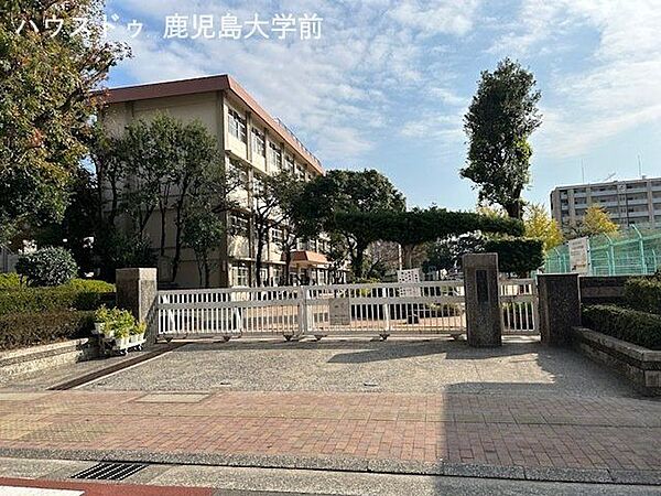 中洲小学校 260m