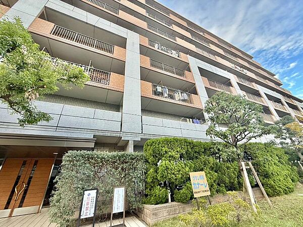 外観：313004605062