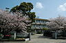 周辺：筑前町立東小田小学校（354m）